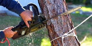 Best Utility Line Clearance  in Ida Grove, IA