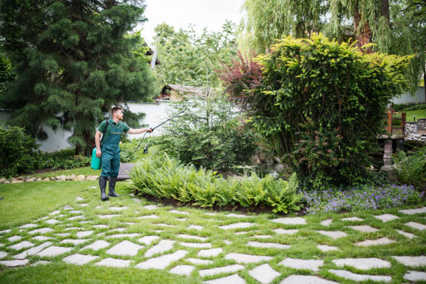 Best Tree Mulching  in Ida Grove, IA